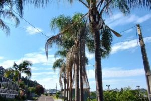 implementacao rede_Ilha_Sao_Domingos